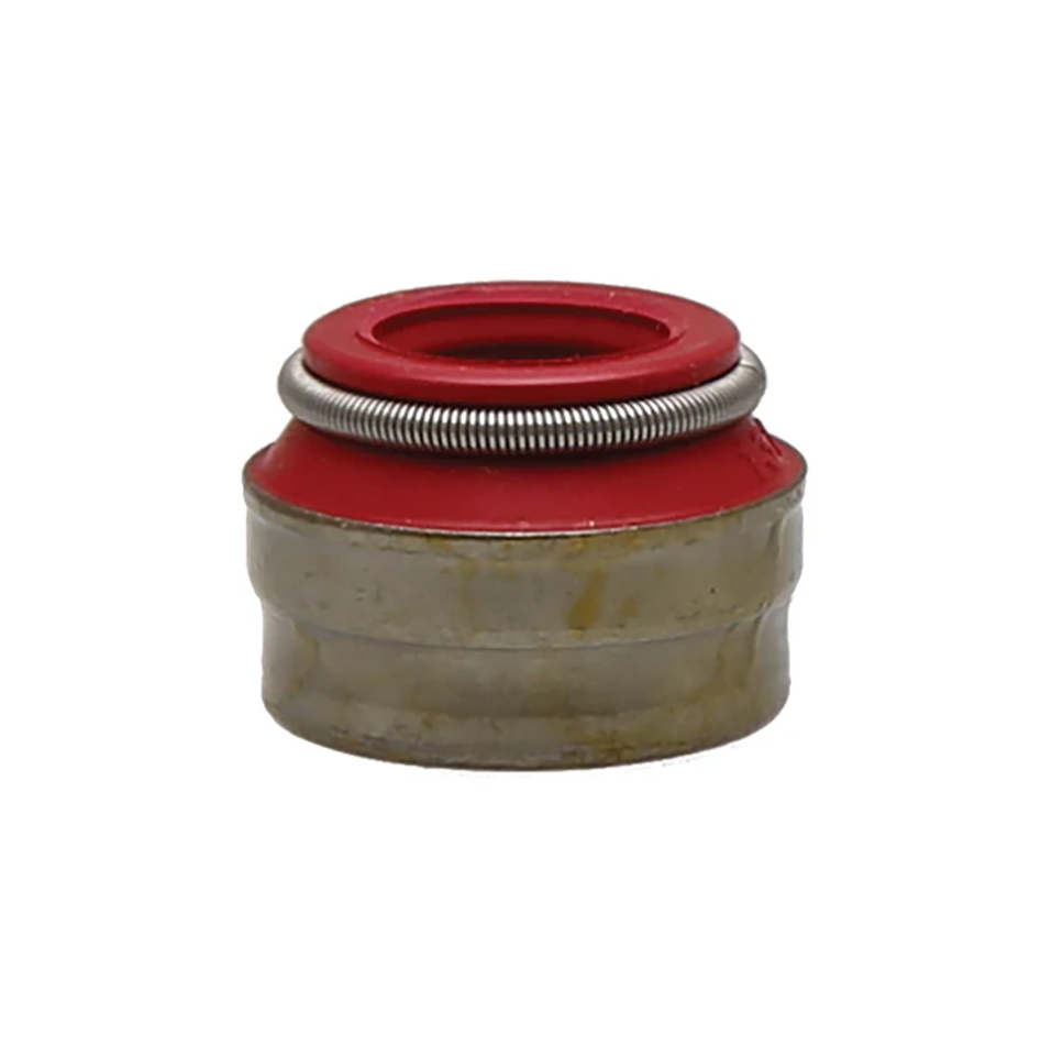 KIBBLEWHITE PRECISION MACHINING VALVE STEM SEALS - Valve stem seals .311"x.415" 4pack

Valve stem seals for stock and custom applications in a wide variety of sizes and materials.