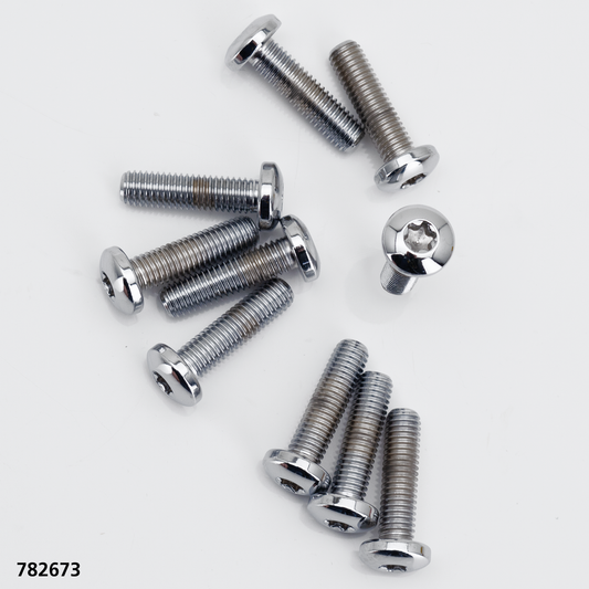 BRAKE ROTOR SCREWS & NUTS FOR TRIKE | Adventure Touring | Touring