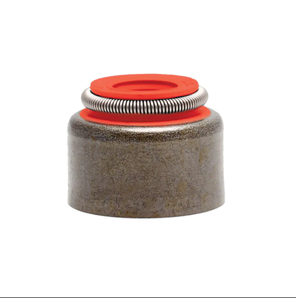 KIBBLEWHITE PRECISION MACHINING VALVE STEM SEALS - Valve stem seals .311"x.415" 4pack

Valve stem seals for stock and custom applications in a wide variety of sizes and materials.