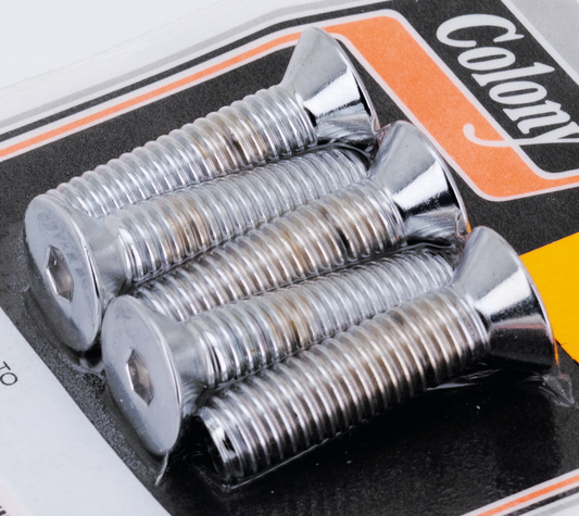 BRAKE ROTOR SCREWS & NUTS FOR TOURING | Touring