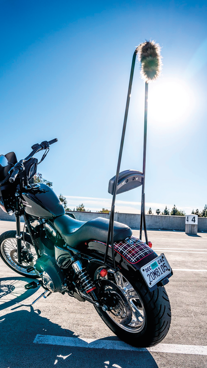 BURLY BRAND STUPID TALL SISSY BARS | Sportster