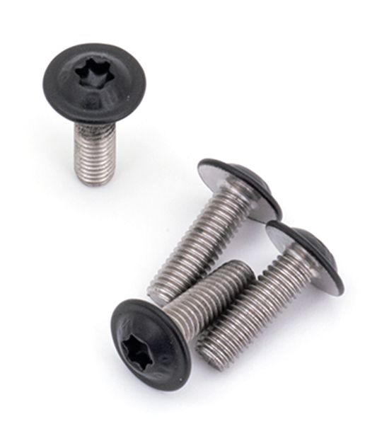 BLACK STAINLESS HEAT SHIELD SCREWS FOR SPORTSTER S | RH Sportster