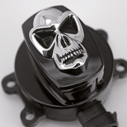 ZODIAC SKULL IGNITION SWITCHES