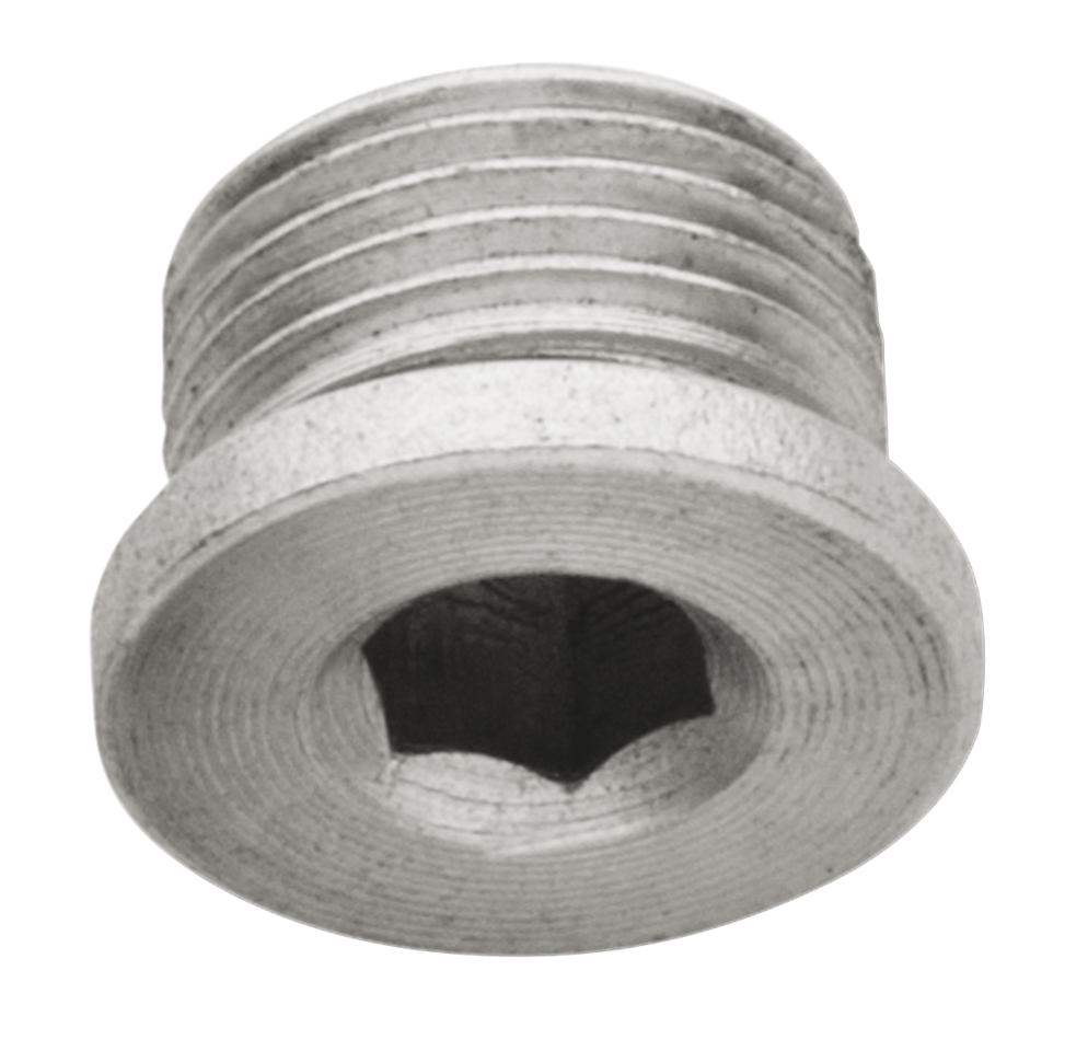 O2 SENSOR BUNG PLUGS AND ADAPTER | Adventure Touring | Dyna | RH Sportster | Softail | Sportster | Touring | Trike | V-Rod