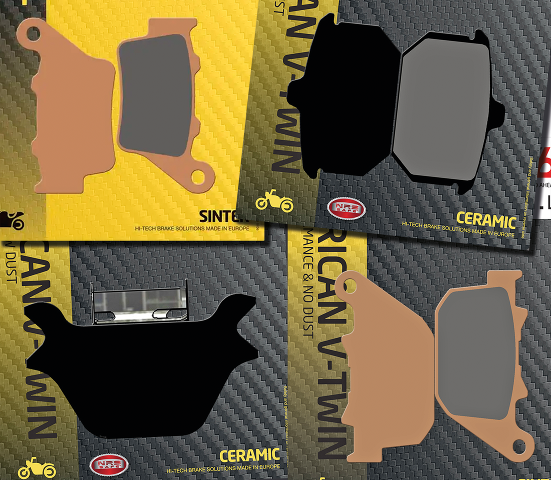 SBS REAR DISC BRAKE PADS | EV | FTR