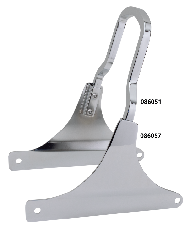 RIGID MOUNT SHORTY SISSY BARS | Big Twin