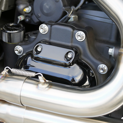 TRANSMISSION SIDE COVER & TRAP DOOR TITANIUM 12-POINT BOLT KITS | Dyna | Softail | Touring