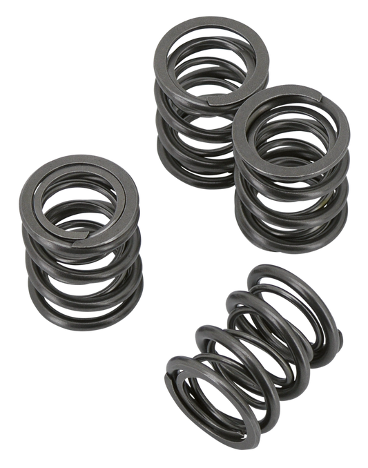 AV&V VALVE SPRING KITS FOR PANHEAD & SHOVELHEAD