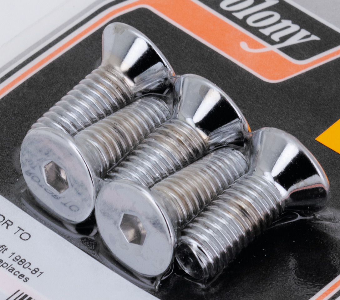 BRAKE ROTOR SCREWS & NUTS FOR TOURING | Touring