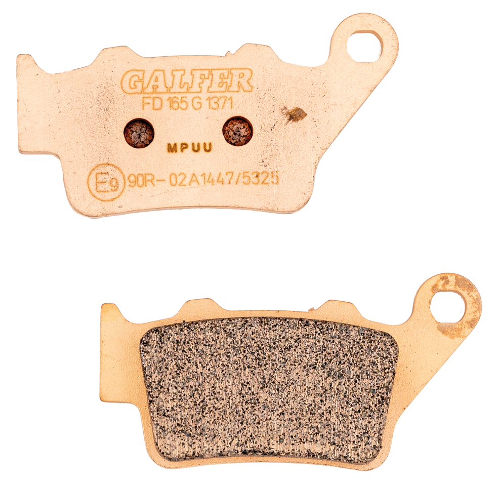 GALFER REAR DISC BRAKE PADS | EV | FTR