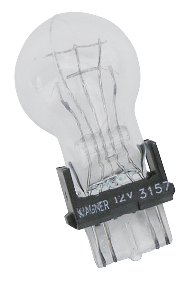LATE STYLE BULBS